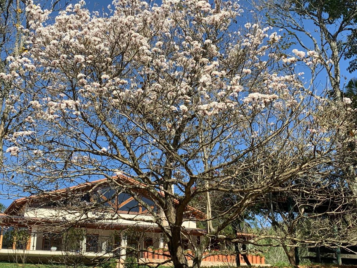 Gardenian Boutique Hotel São Roque Zewnętrze zdjęcie
